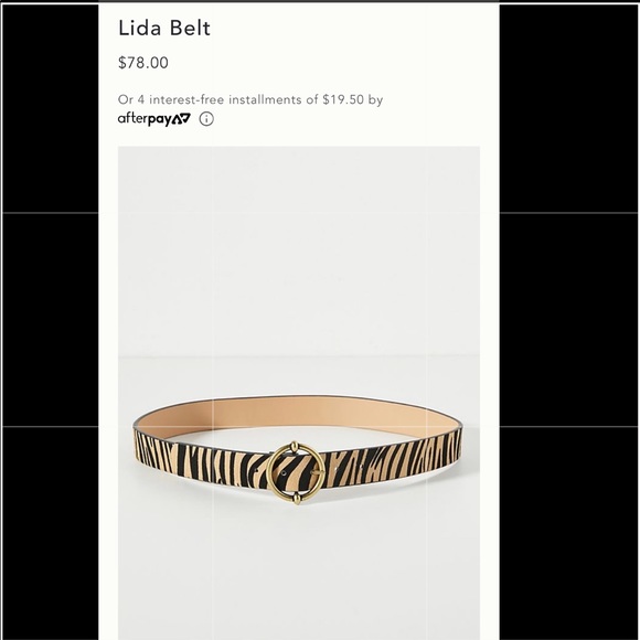 Anthropologie lida belt main image 11